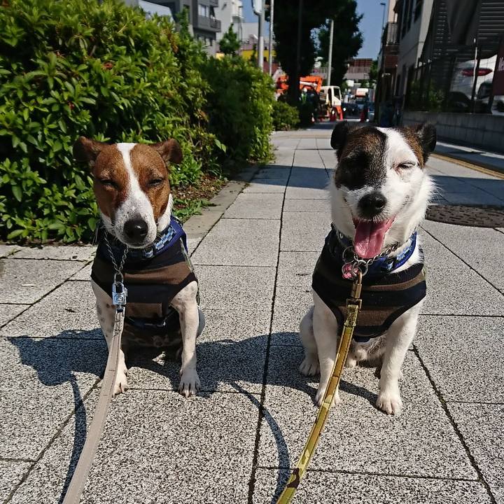 44b2901b 3736 4486 a3fa 1ff22c1d949f 1590794698598