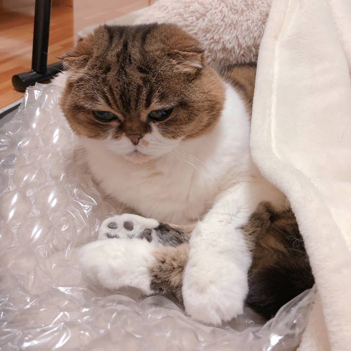 44b299d4 8ccc 49a2 afbd 44caf4754139 1553835050381