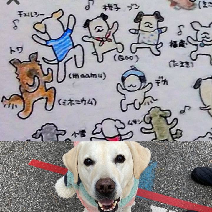 44b30f6f 3b0b 428a aa1b ae70c8d36f9e 1703721865695