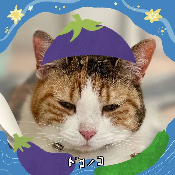 44b333a7 5901 4181 ab8e 9aa761be43cc 1755224772891