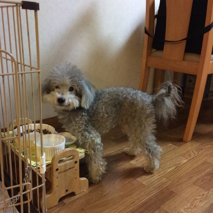 44b3446b afd4 49c9 b147 c3086f50574a 1515584598889