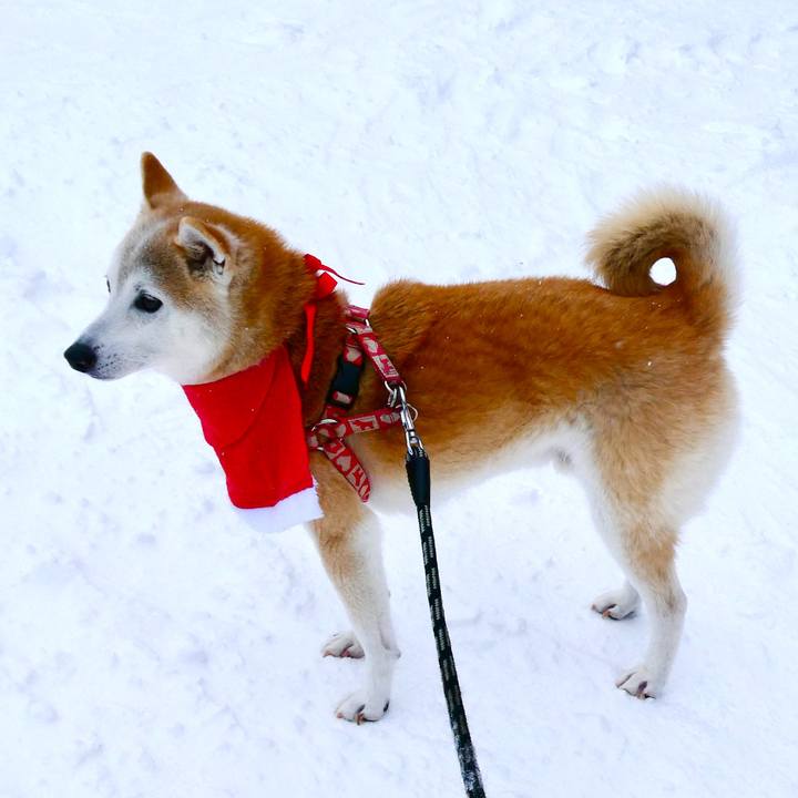 44b34c38 f956 467d 9c7f 3d34a92f0397 1766568921837