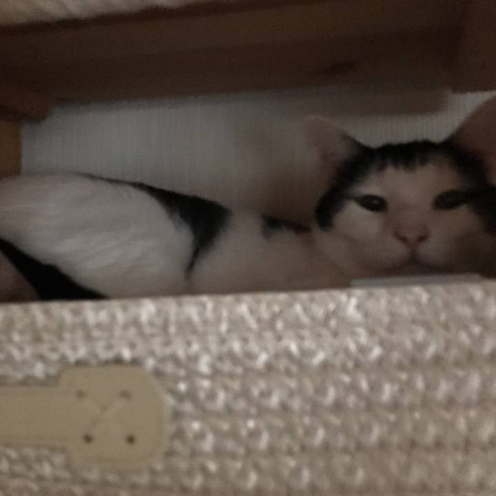 44b35034 d75f 41db 91ae c68f6c64bc73 1533704036917