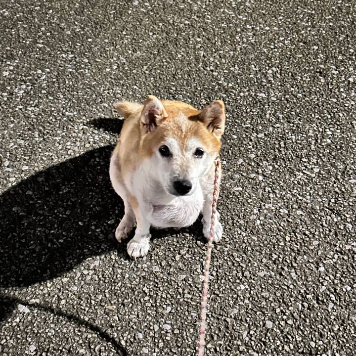 44b3a714 55ec 475f a989 c0d1bb751b9a 1758536724403