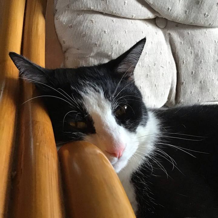 44b3afb3 0913 4097 9158 d9a1dc15552b 1692619917829