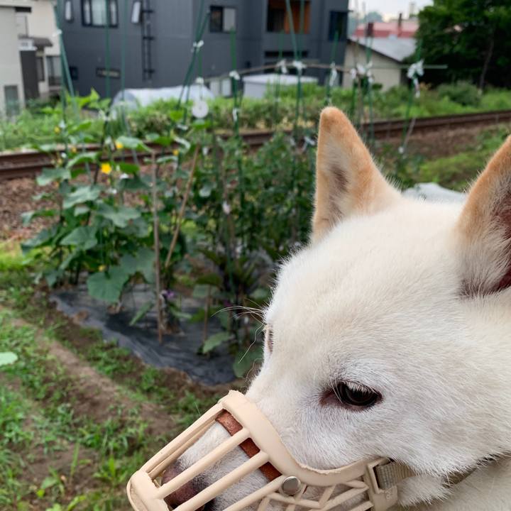 44b3b46f a405 4be5 bceb d414f1b11e14 1562358284930