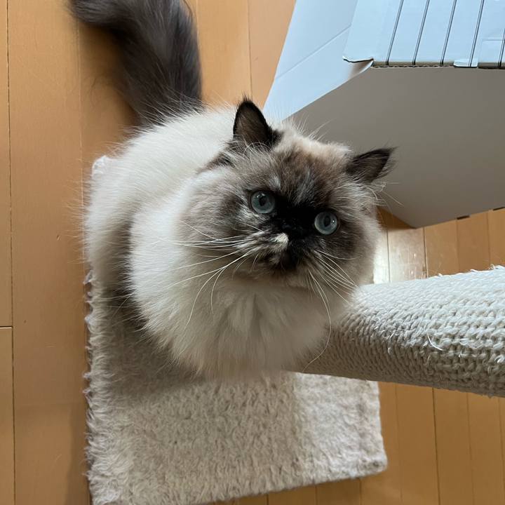 44b3bc57 9c36 48c2 a7e7 15d9eca88e00 1670152426057