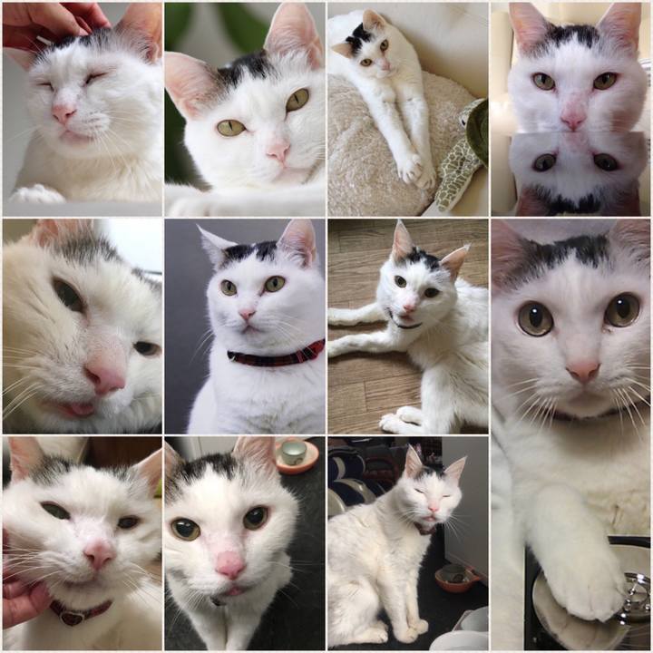 44b3fb76 96a9 40ad bd2c b91d8a1ad063 1508772626466