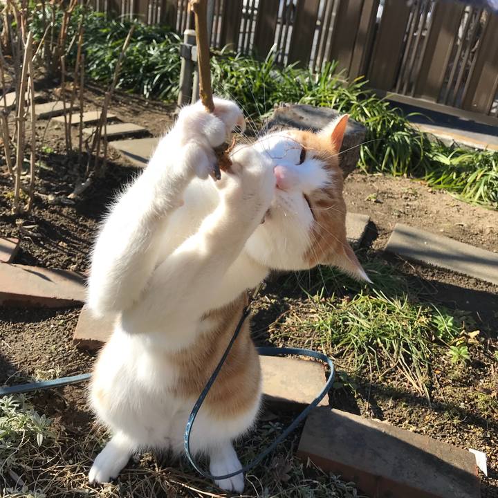 44b4039c 0582 470e 9def 67c64dfacba3 1512612419108