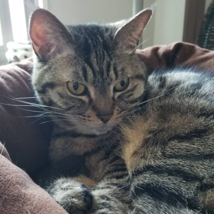 44b40ac2 4b00 41f1 be97 a8f806647129 1557104501854