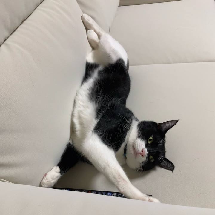 44b42f1c 7908 4899 87d2 50a9cc5a66cd 1722269726252