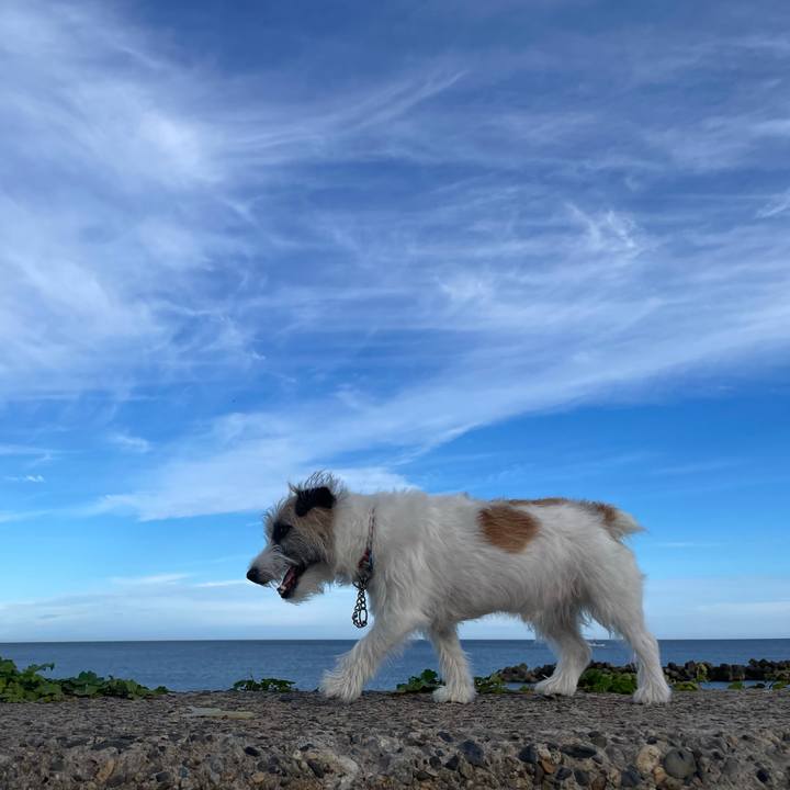 44b4322d 859c 4082 ba9e 51445af14284 1663457108928