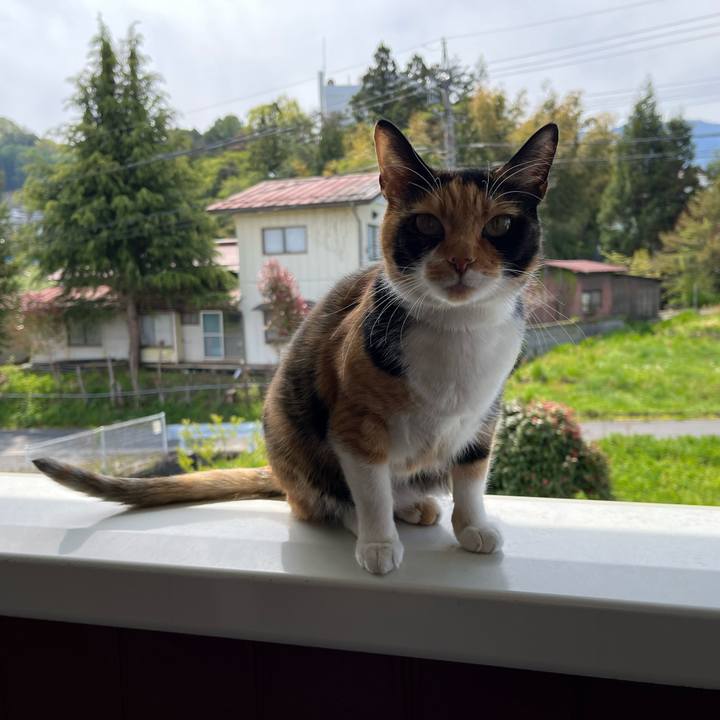 44b44cd6 17df 49d6 8558 f8b417e5d2c2 1683076162950