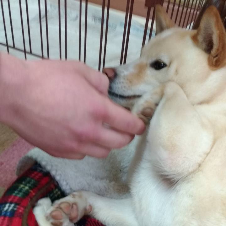 44b45fba 2f86 42b6 b463 1fbff5172b61 1553993108256