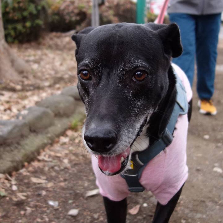 44b4ad91 8839 4545 93ee c155e4fa2ee0 1736640971210