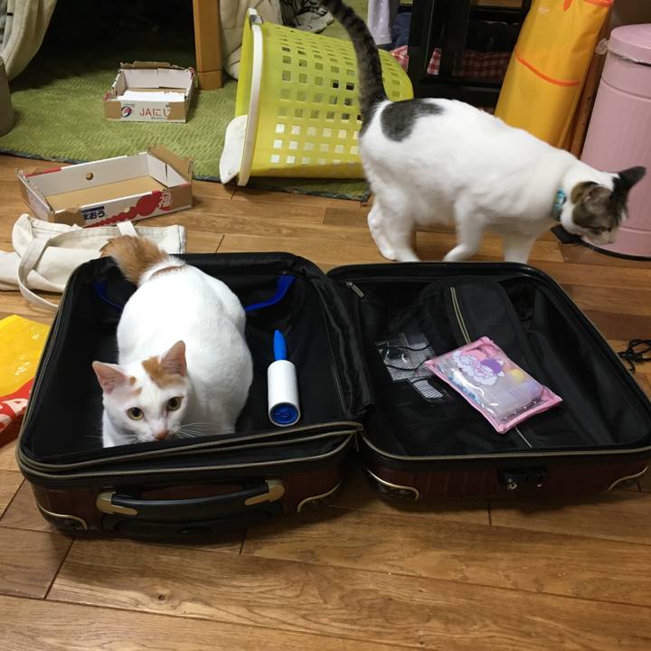 44b4ee80 578b 41f8 8f3e 7d784cc732e8 1553526302191