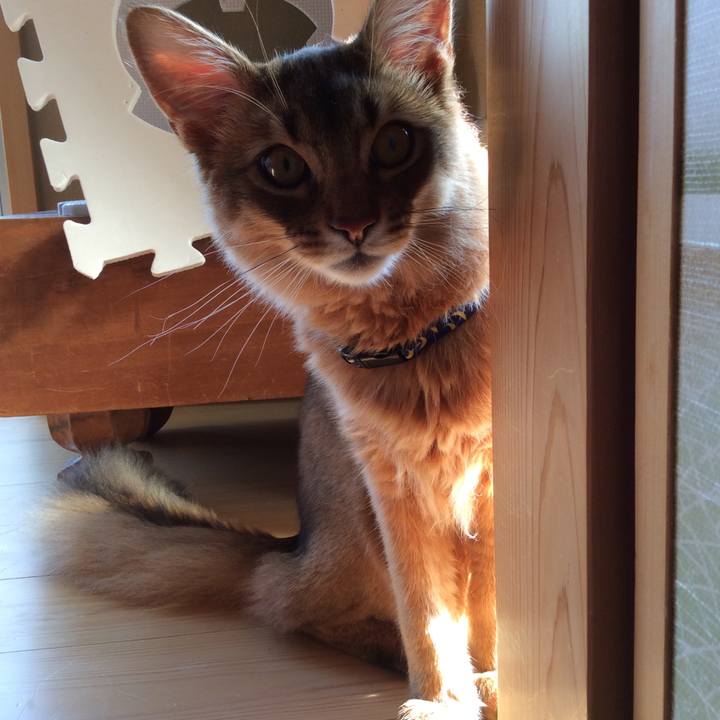 44b4fe85 9bfd 466a b5d1 9d6fc706e29e 1586415332464