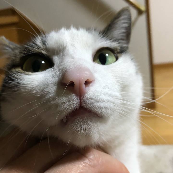 44b516b3 d97e 49f5 91b4 7539df8f7733 1715440776259