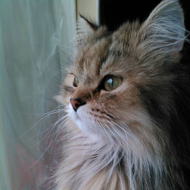 44b517b6 8446 4cd7 a37d 335a9598b287 1763457489873