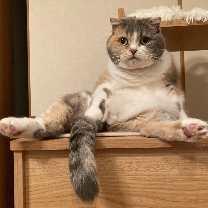 44b53723 28a6 4827 9fe2 5a5efc318a6f 1620819036040