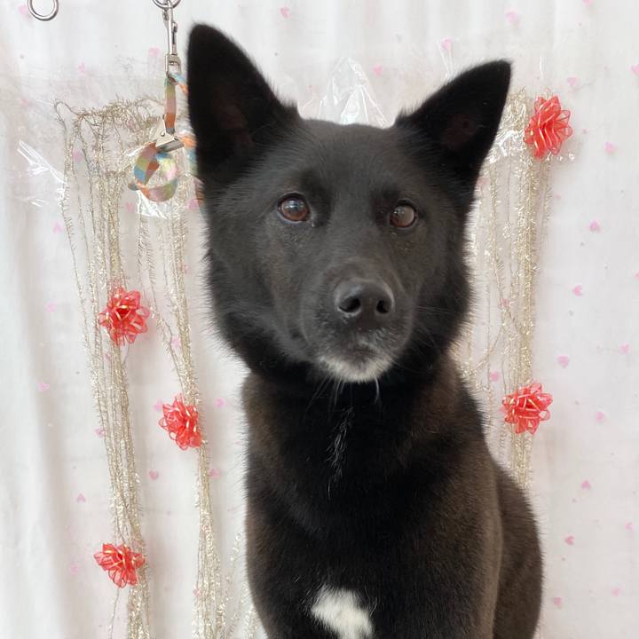 44b56d7f 6162 4478 8c71 e4a439327178 1616815602720