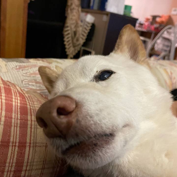 44b5b838 b686 4ecd afd6 15308983117d 1639231508348