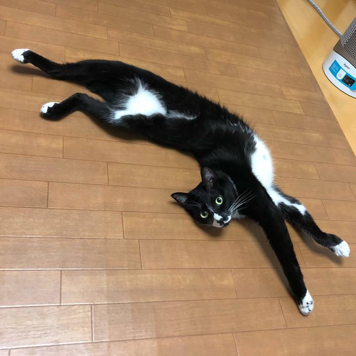 44b6344d 5dc7 45b5 bfb7 8603aefe1060 1536637490283