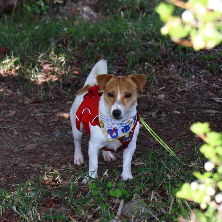 44b637c0 ceb4 4f0b 9f77 f5d0c18b6505 1555830880340