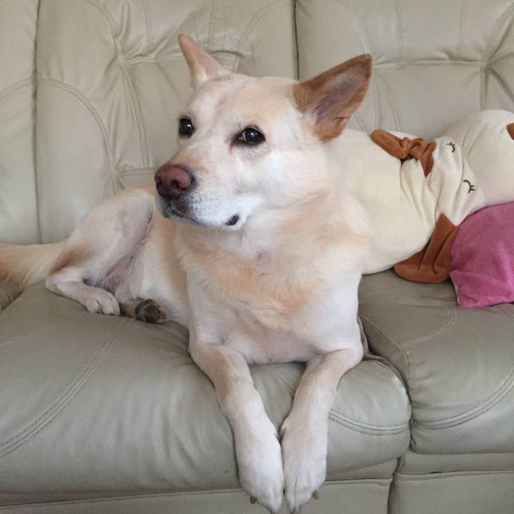 44b64427 aa24 4842 895f 4a092fa9a27b 1518274581015