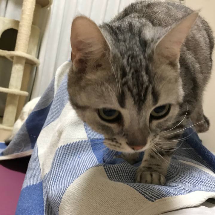 44b66c7a c626 47e5 8742 55ae39b4b887 1524997767754