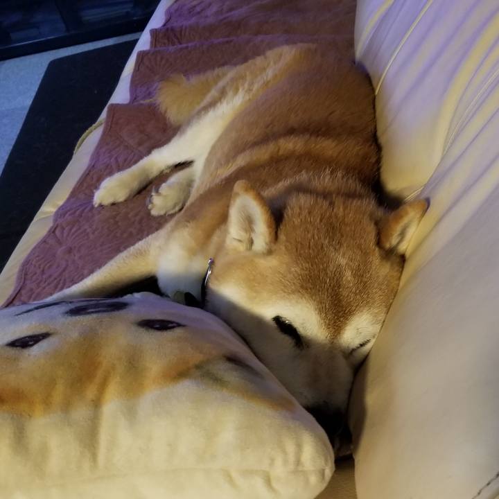 44b6999f 8315 4ced b51c 86bdbafa60f0 1696805200131