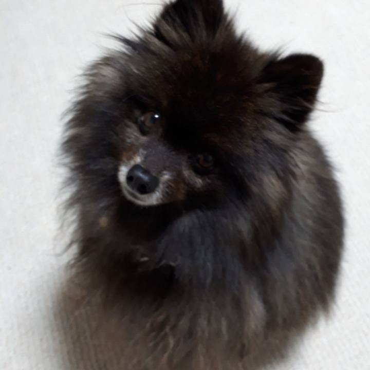 44b6b926 e639 4e75 8819 81335d29b4ae 1517681617761