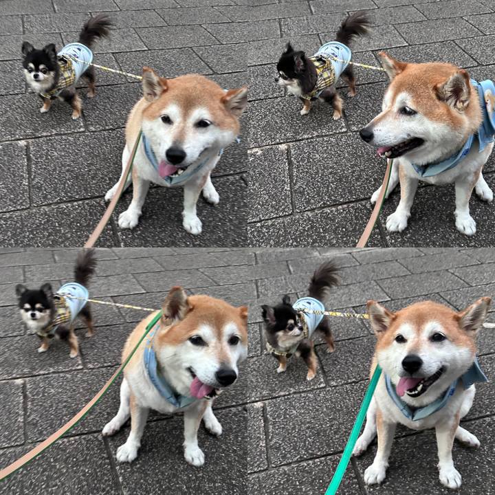 44b6bdb0 8b61 4890 9c53 3ad1ee9f6f84 1724407944974