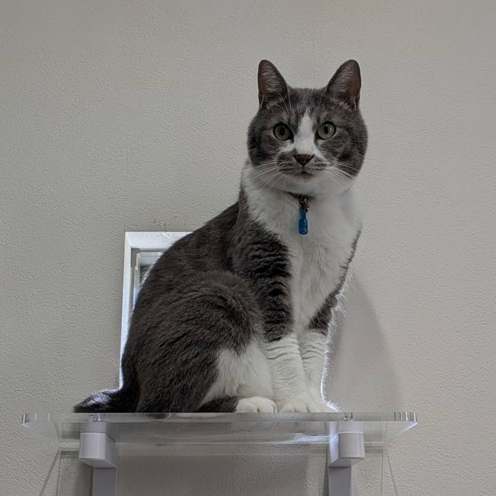 44b6d8ab f174 4f46 b2be 22ad536ceb92 1752818198779