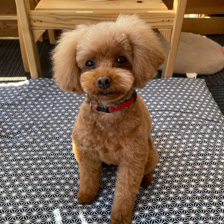 44b6eb7b ba28 444f 9b75 3fda41bf86be 1673066678992