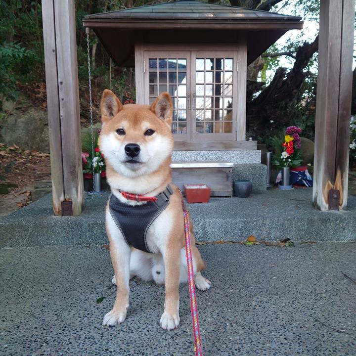 44b79772 e9b6 4986 a525 b6da6dd838b4 1768199775517