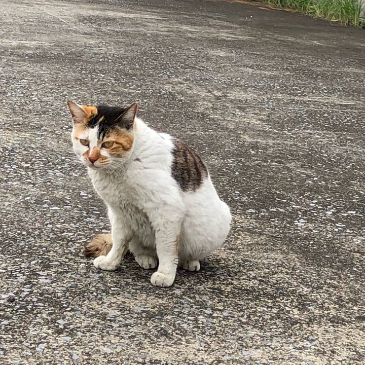 44b7a4fb 40bb 477f b297 35e19ff28077 1555082583074