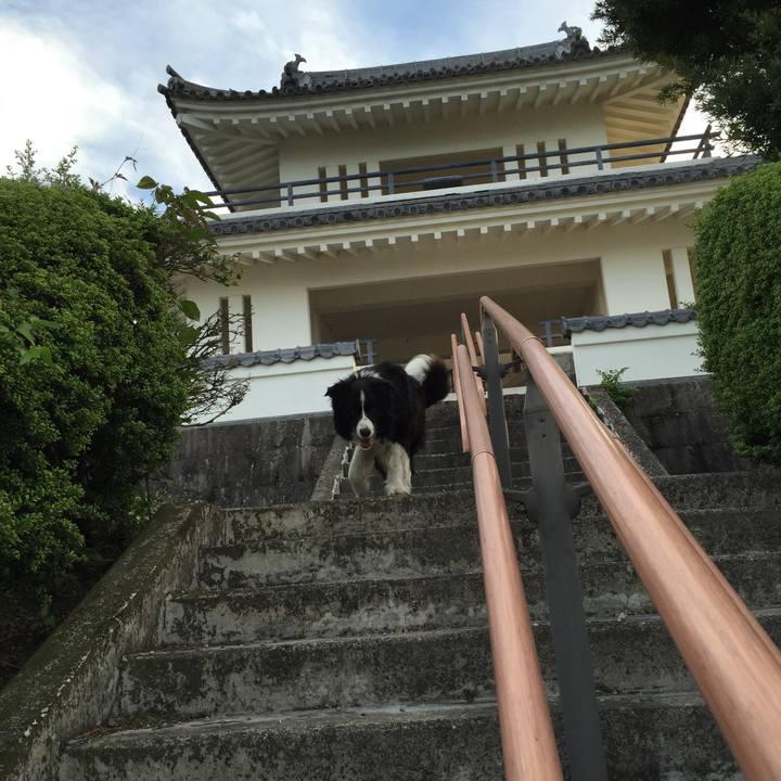 44b7d905 3deb 4295 8f2d c37941e8fab0 1526905033650