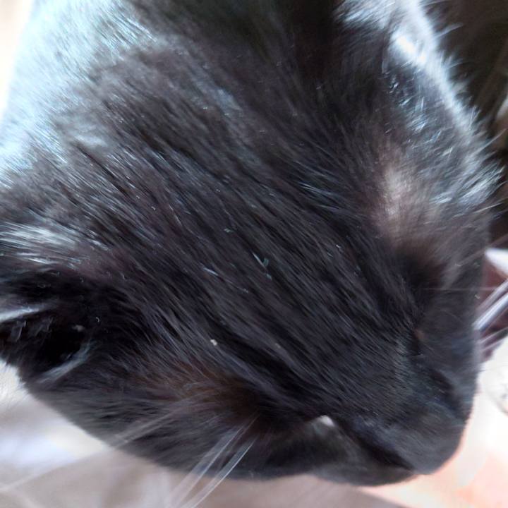 44b7f262 2ad1 446f bd6a 9d1effe87437 1745539851874