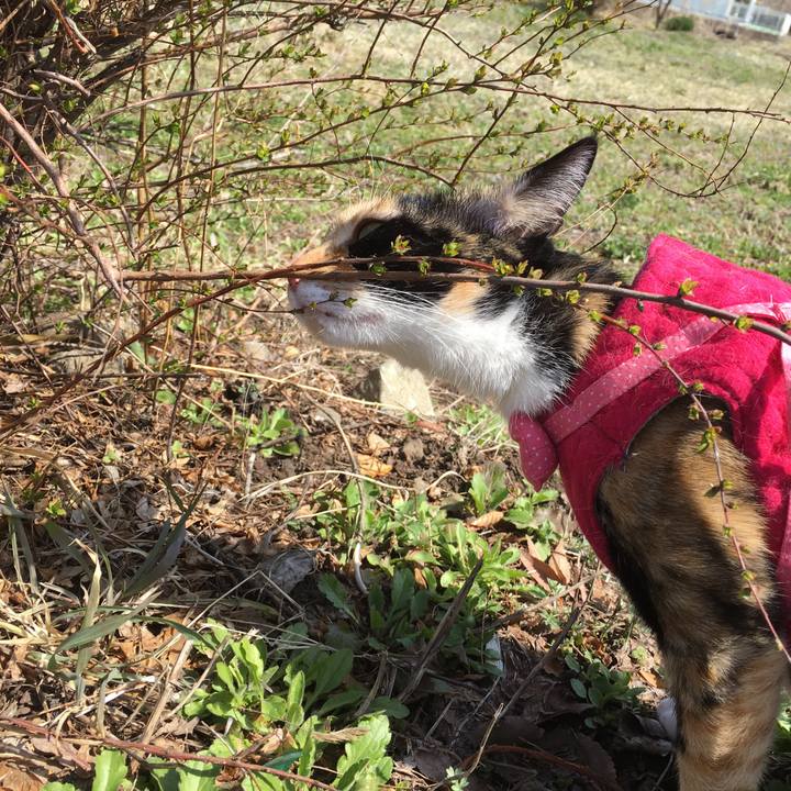 44b80cdf 2195 4516 b7d4 d96e9c84639f 1522160300115