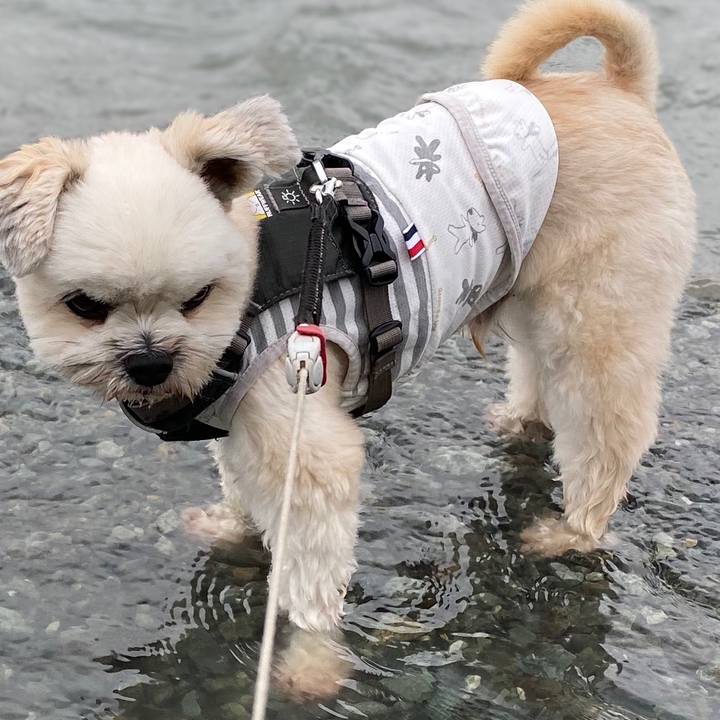 44b80d73 8f89 4ce4 8dcd 2239c71a05fc 1594957024507