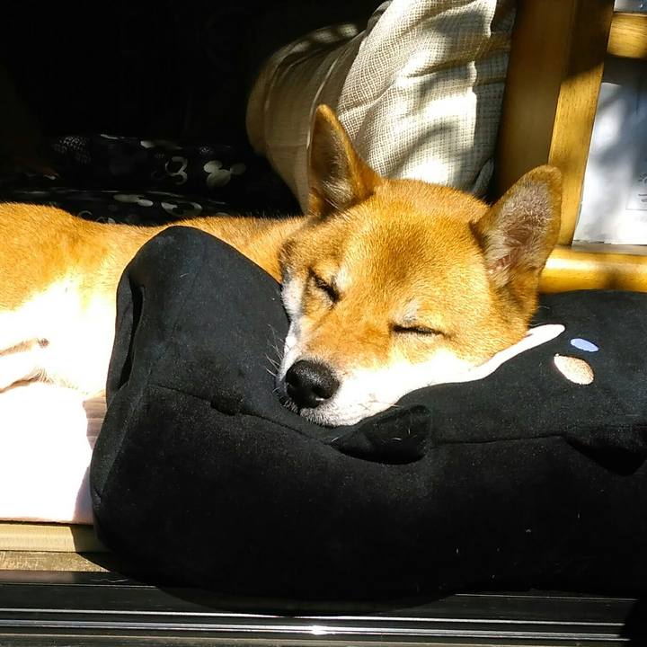 44b84e4b 8be2 4dca ab45 d188434c4b4f 1509068816098