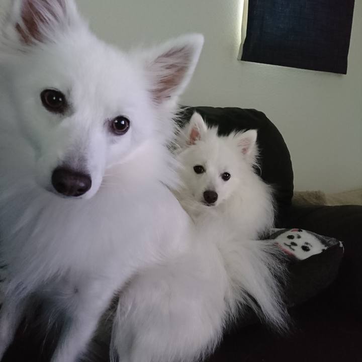 44b858ee 7002 4e03 b0f7 a19d1e5137d0 1585552451743