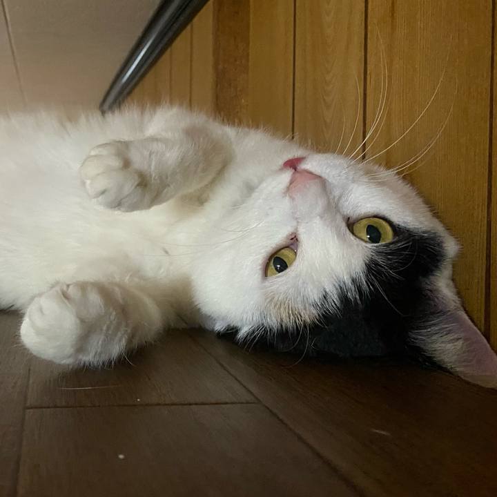 44b85c66 c152 4cc6 8857 ed6bdf3c4feb 1648302234217