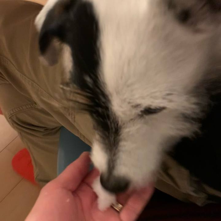 44b85df7 a7f6 4ea5 bc2e 33d25ee49098 1741430689027