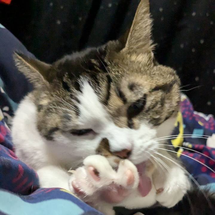 44b89637 5028 4c33 98fc 4515e9b7fbc6 1729931333877