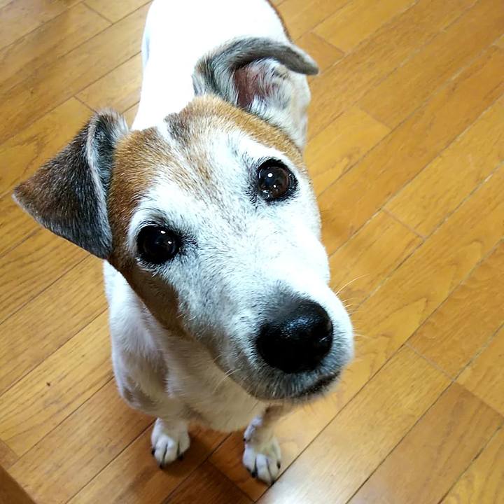 44b89cdf 9970 4315 9647 8d549970901f 1561331507054