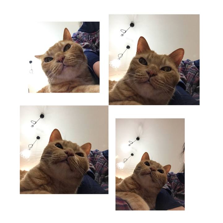 44b8b640 91b9 4444 8bd5 66369129fd33 1602940184884