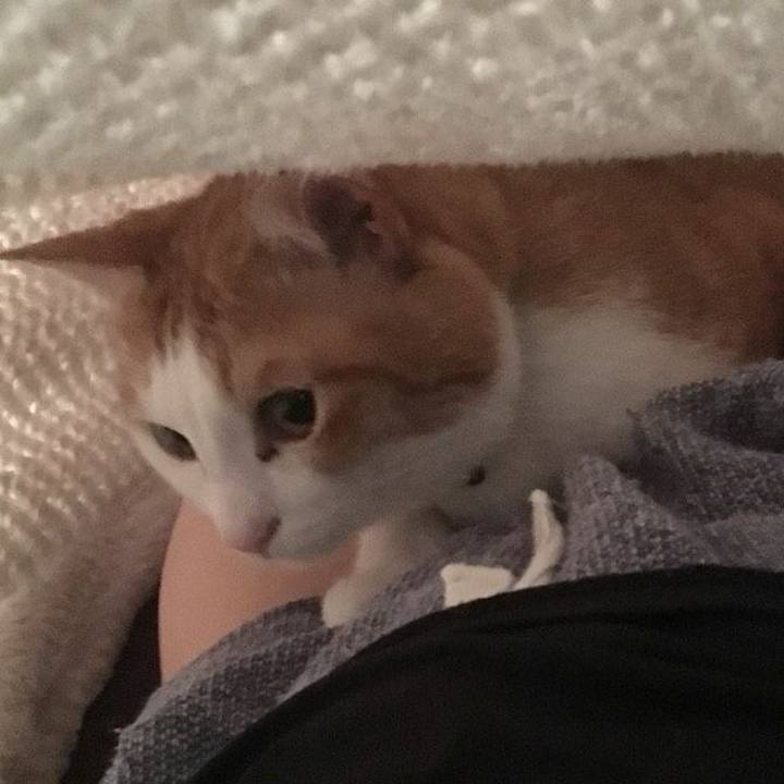 44b8d61a ad2c 46c4 8204 126fee57536d 1530710835285