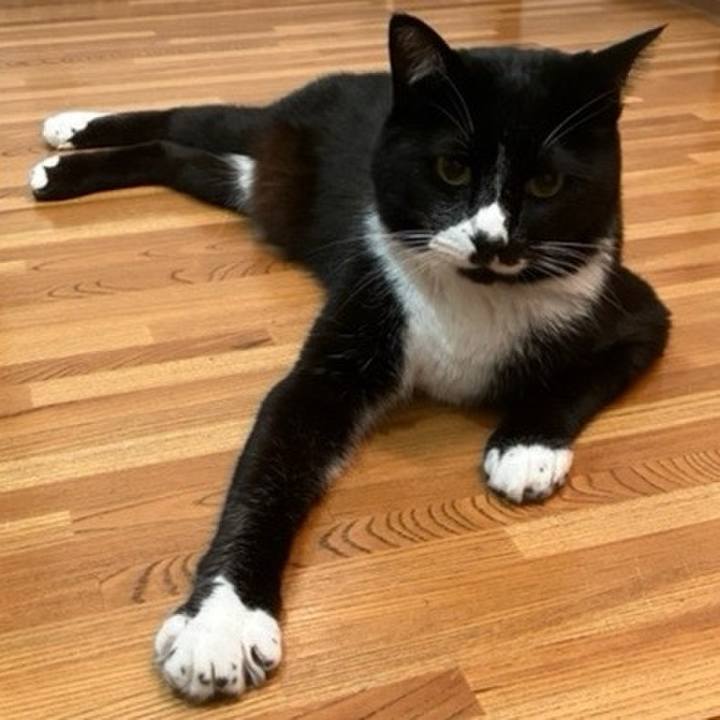 44b8f8ef f77f 4a71 83ae 69763b470127 1757390901808